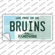Bruins New Hampshire Novelty Sticker Decal