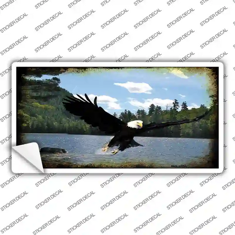 Eagle Over Water Novelty Sticker Decal