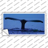 Whale Tail Novelty Sticker Decal