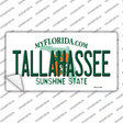 Tallahassee Florida Novelty Sticker Decal