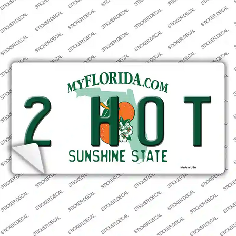 2 Hot Florida Novelty Sticker Decal