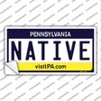 Native Pennsylvania State Novelty Sticker Decal
