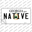 Native Georgia Novelty Sticker Decal