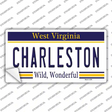 Charleston West Virginia Novelty Sticker Decal