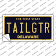Tailgtr Delaware Novelty Sticker Decal