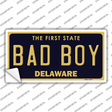 Bad Boy Delaware Novelty Sticker Decal
