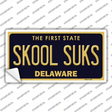 Skool Suks Delaware Novelty Sticker Decal