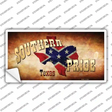 Southern Pride Texas Novelty Sticker Decal