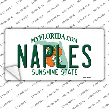 Naples Florida Novelty Sticker Decal