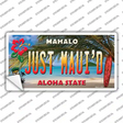 Just Mauid Hawaii Background Novelty Sticker Decal