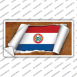Paraguay-OBV Flag Scroll Novelty Sticker Decal