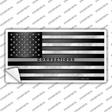 American Flag Corrections Novelty Sticker Decal