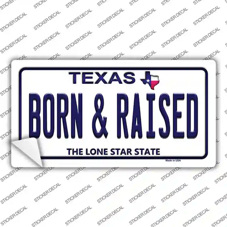 Born and Raised Texas Novelty Sticker Decal
