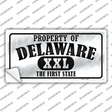 Property Of Delaware Novelty Sticker Decal