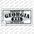 Property Of Georgia Novelty Sticker Decal