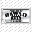 Property Of Hawaii Novelty Sticker Decal
