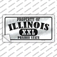 Property Of Illinois Novelty Sticker Decal