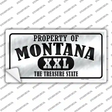 Property Of Montana Novelty Sticker Decal