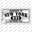 Property Of New York Novelty Sticker Decal