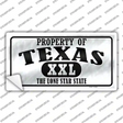 Property Of Texas Novelty Sticker Decal