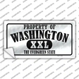 Property Of Washington Novelty Sticker Decal