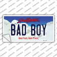 Bad Boy South Dakota Novelty Sticker Decal