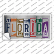 Florida Art Novelty Sticker Decal