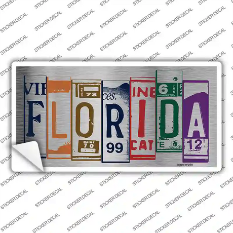 Florida Art Novelty Sticker Decal