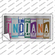 Indiana Art Novelty Sticker Decal