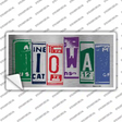 Iowa Art Novelty Sticker Decal