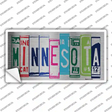 Minnesota Art Novelty Sticker Decal