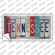 Tennessee Art Novelty Sticker Decal