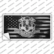 Connecticut Carbon Fiber Novelty Sticker Decal