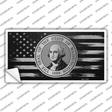 Washington Carbon Fiber Novelty Sticker Decal