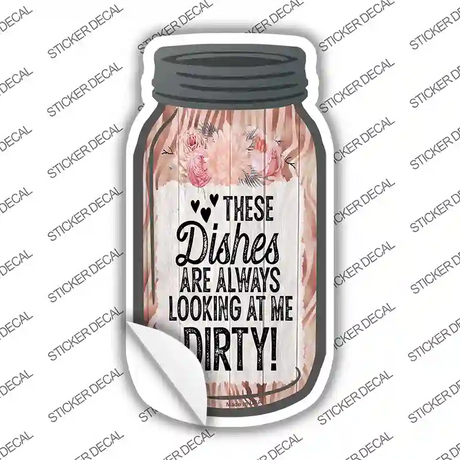 Dishes Looking At Me Dirty Novelty Mason Jar Sticker Decal
