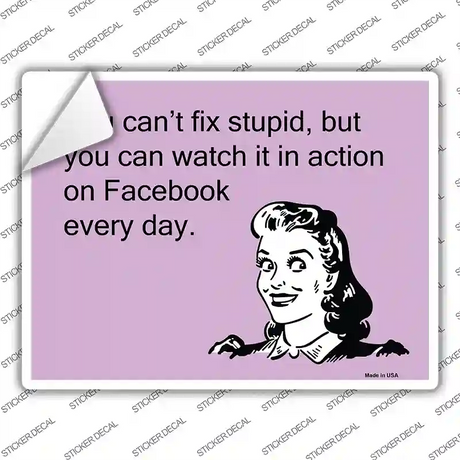You Cant Fix Stupid Novelty Rectangle Sticker Decal
