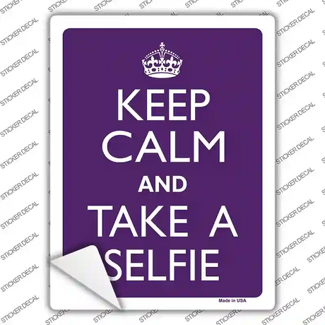 Keep Calm Take Selfie Novelty Rectangle Sticker Decal