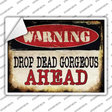 Drop Dead Gorgeous Novelty Rectangle Sticker Decal