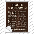 Beagle Wisdom Novelty Rectangle Sticker Decal