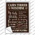 Cairn Terrier Wisdom Novelty Rectangle Sticker Decal