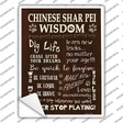 Chinese Shar Pei Wisdom Novelty Rectangle Sticker Decal