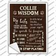 Collie Wisdom Novelty Rectangle Sticker Decal
