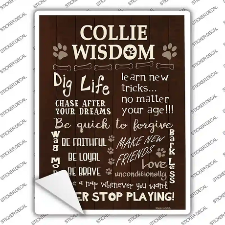 Collie Wisdom Novelty Rectangle Sticker Decal