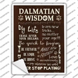 Dalmatian Wisdom Novelty Rectangle Sticker Decal