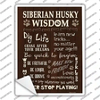 Siberian Husky Wisdom Novelty Rectangle Sticker Decal