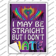 Straight But Dont Hate Novelty Rectangle Sticker Decal