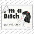Im A Bitch Novelty Rectangle Sticker Decal