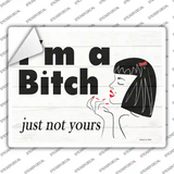 Im A Bitch Novelty Rectangle Sticker Decal