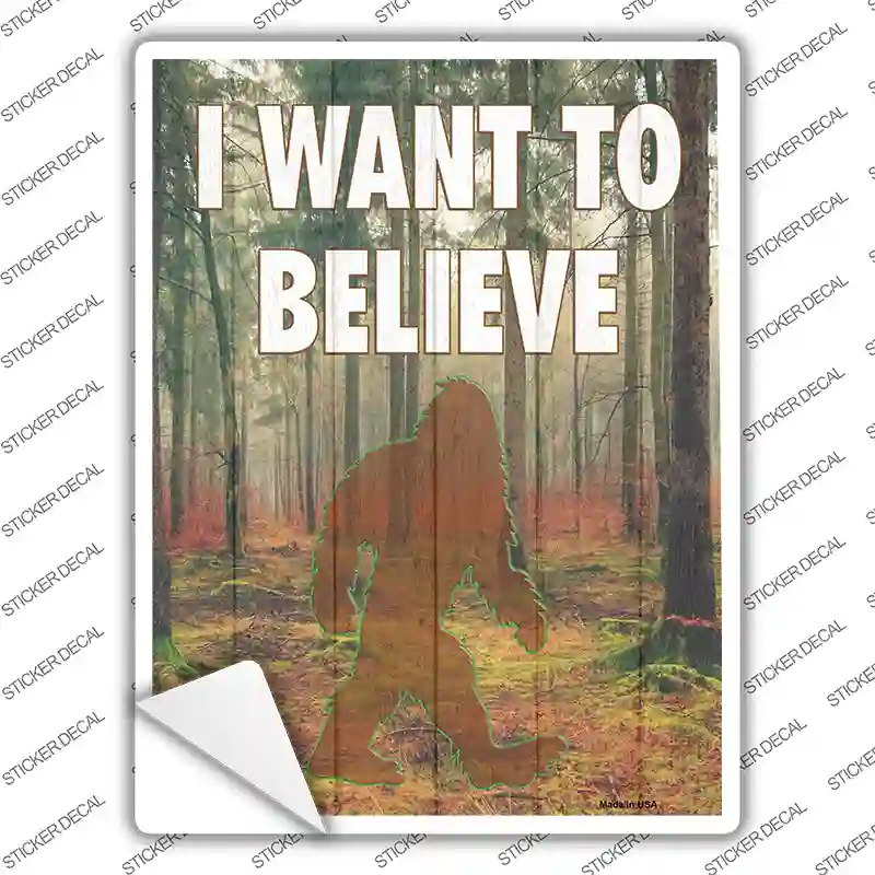 I Want to Believe Novelty Rectangle Sticker Decal