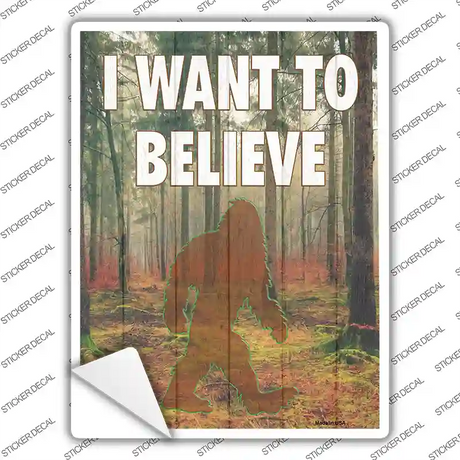 I Want to Believe Novelty Rectangle Sticker Decal